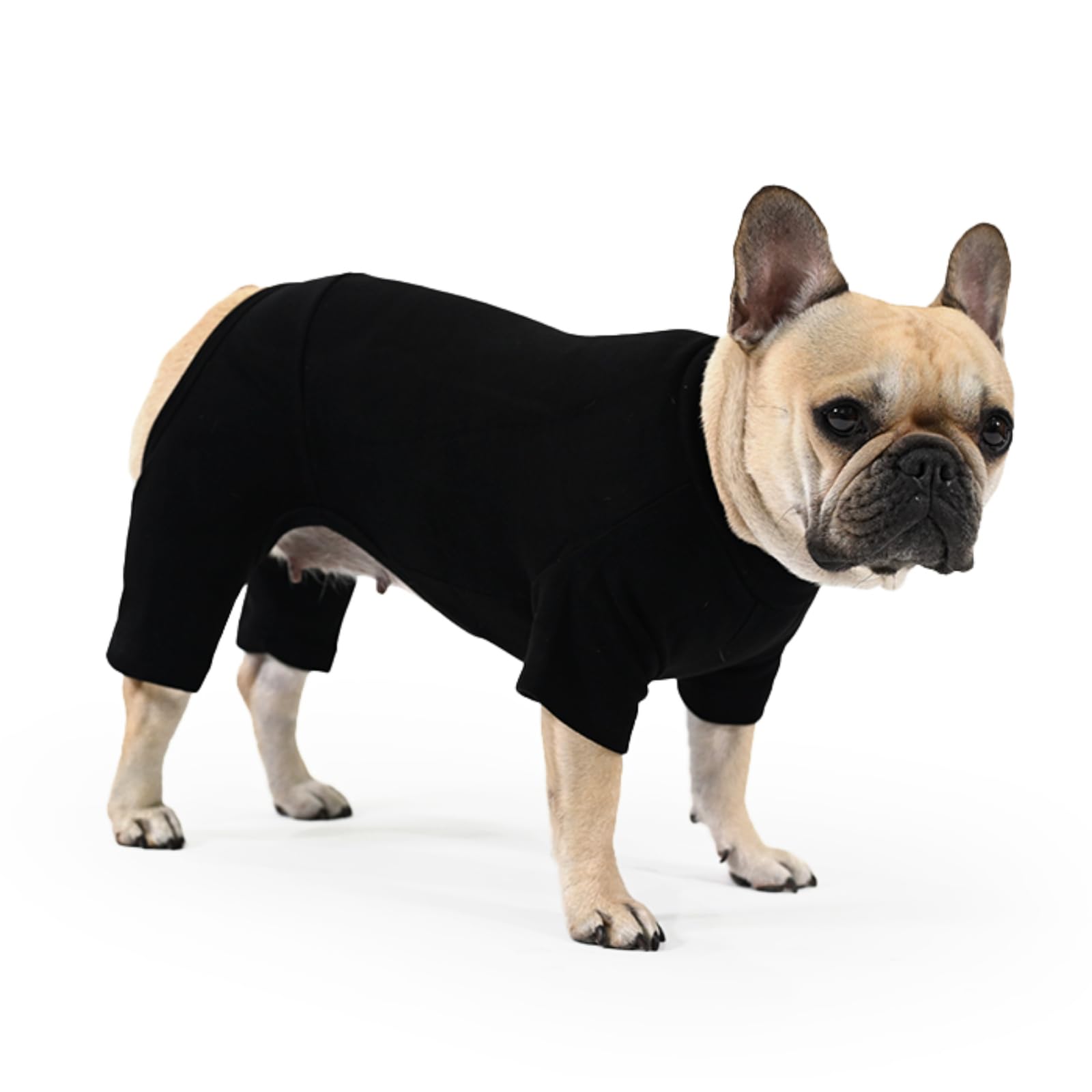 Amazon | フレンチブルドック 服 吸湿 発熱 抗菌 防臭 消臭 抗菌 犬の