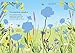 HEALTH MANAGEMENT Little First Stickers Book Wildflowers, 1 EA