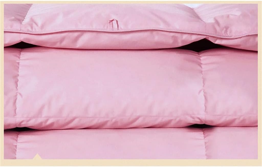 White Goose Down Filler/Filling Queen Size Cotton Thickening and Warming Four Seasons Comforter