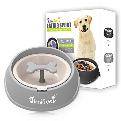 Slow Feeder Dog Bowl, Bloat Stop Dog Bowl, Slow Feed Pet Bowl for Large Medium Small Dogs(25 * 23 * 9cm)(0.65L)