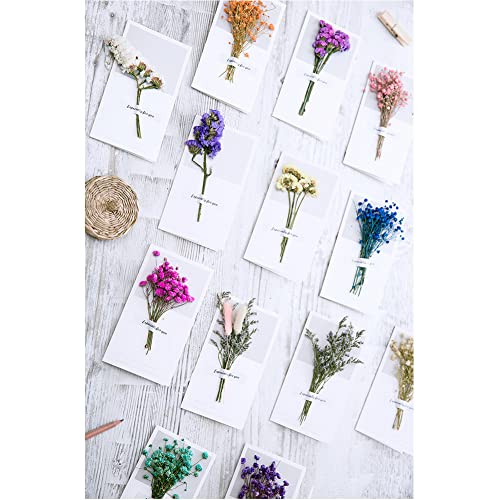 Babys Breath Dried Flowers Bundles, Natural Gypsophila Bouquet Red Dried Flowers For Diy Craft, Card Decoration, Photo Props, Birthday Party&Wedding Arrangements Home Decorations #TOP3