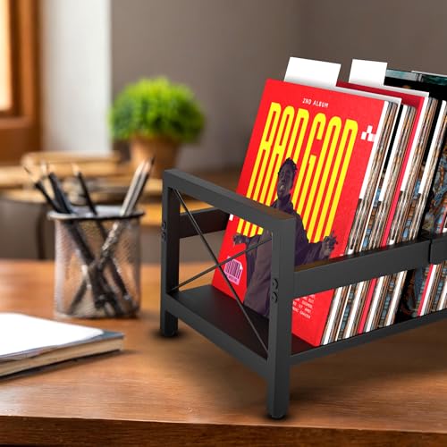 Image of Vinyl Record Holder, All Metal Album Case Storage, Holds up to 60-80 LPs With 2 Plastic Dividers and Sliding Bar