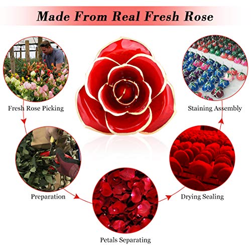 Listado de Rosa oro los mejores 5. 3 rosa oro marca Ejoyous (3)