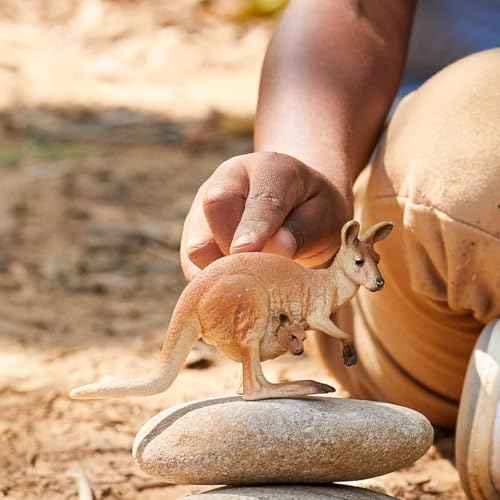 SCHLEICH WILD Life | Känguru 14756 | detailgetreue Tierfiguren | Zoo Spielzeug | tolles Geschenk für Jungen und Mädchen | Deko für Geburtstag | Spielfigur ab 3 Jahren | 12 x 4 x 7 cm