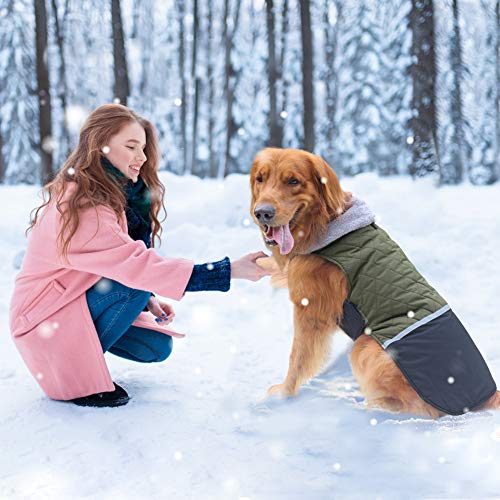Emust Dog Winter Coat, Reversible Fleece Dog Coat For Small Dogs, Windproof Warm Dog Jacket, Dog Clothes For Small Dogs Boy Girl, Xs #TOP5