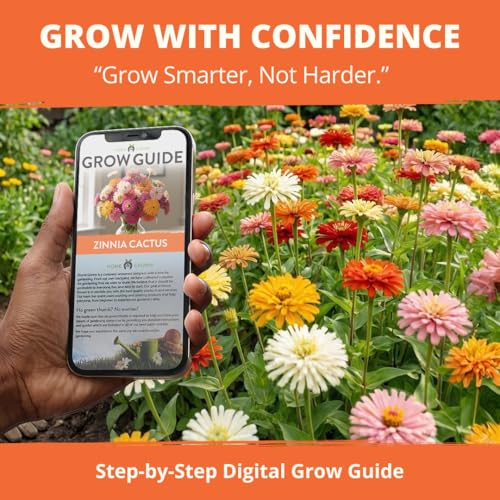 Image of HOME GROWN Zinnia Cactus Mix Seeds - 2000 Heirloom Non-GMO Flower Seeds for Spring 2026 Planting Outdoors, Large Cactus Blooms, Tall Cut Flower Garden, USDA Zones 3-10 (Zinnia elegans)
