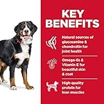 Hills-Science-Diet-Dry-Dog-Food-Adult-Large-Breed-Chicken-Barley-Recipe-15-lb-Bag