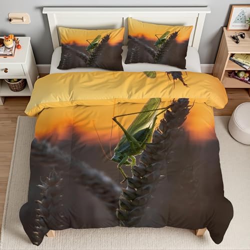 Piumino Matrimoniale Grano Trapunte Cicala Piumone Imbottito Resistente Lavabile, Super Morbida Trapunta, piumini 220x240 cm in Microfibra Reversibile e 2 Federa 50x80 cmT2687