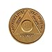 13 Year Bronze AA (Alcoholics Anonymous) - Sober / Sobriety / Birthday / Anniversary / Recovery / Medallion / Coin / Chip