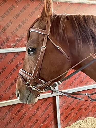 Letsport Stainless Steel Snaffle Bit, Western All Purpose Snaffle Bits For Horses, Horse Bits For Training Equestrian Equipment, Multi-Loop Design For All Kinds Of Applications Horse Bridle. #TOP2