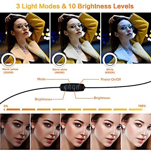 8" Ringlicht Laptop, Beleuchtung Videokonferenz Licht, Led Videoleuchte mit - USB-Kabelsteuerung, Klemmhalterung, Handy Stativ, für Fernarbeit, Fernunterricht, Live Streaming – Bild 4