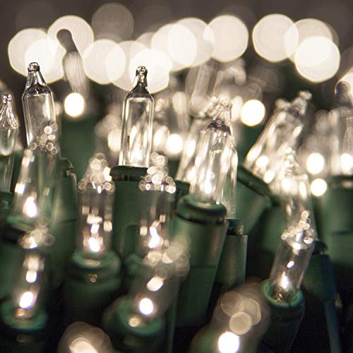 Kringle Traditions Incandescent String Lights - Indoor/Outdoor Christmas Mini Lights, Colorful, Green Wire (50 Lights, 6" Spacing, 25.5 Ft, Clear)