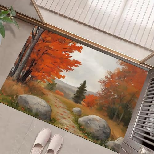 Paillasson attrape poussière 60x90 tapis d'entrée lavable pour chien - 2