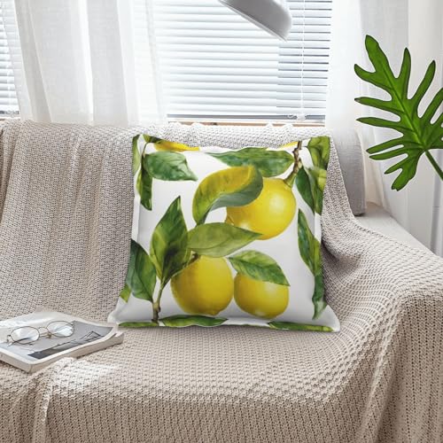 Housses de coussin 40,6 x 40,6 cm carrées similicuir décoration salon lit moderne rustique
