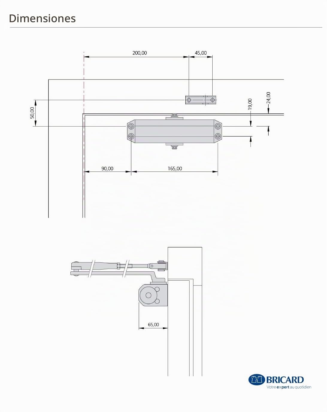 Bricard 6100107 - Cierrapuertas con brazo de brújula fuerza de 2 a 4 (hasta 80 kg), tecnología Piñón cremallera color plata