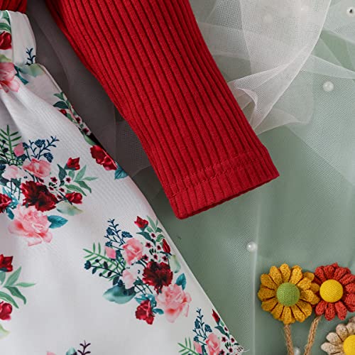 Haokaini Baby Girl Clothes Newborn Romper Dress Long Ruffle Sleeve Outfits Floral Suspender Skirt Overall Infant Jumpsuit Set #TOP2