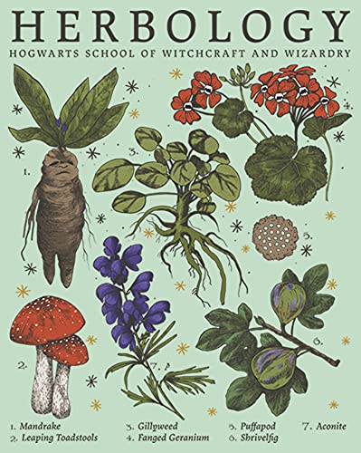 Image of Harry Potter unisex-child Herbology