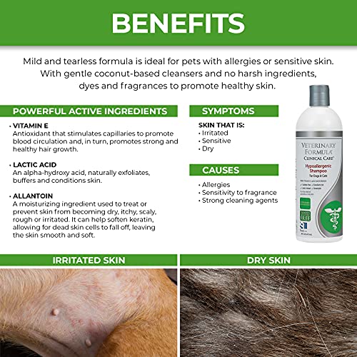 Veterinary Formula Clinical Care Hypoallergenic Shampoo For Dogs And Cats, 16 Oz – No Harsh Ingredients – Fragrance-Free Pet Shampoo For Allergies And Sensitive Skin, Promotes Healthy Skin And Coat #TOP2