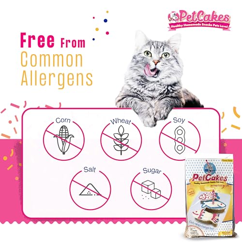 PetCakes Cat Birthday Cake Kit - Natural Treats - Cheese Flavor Kitten & Cat Food - 5.5 Oz