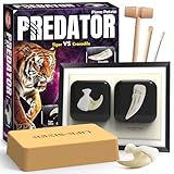 Piano Potato PREDATOR Excavation Kit - Tiger vs Crocodile Fossil Dig Kit for Kids - Discover 2 Life-Sized Replicas: Tiger Claw & Crocodile Tooth - STEM Educational Science Toy for Boys & Girls Ages 6+