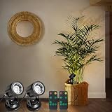 PRIDEAST LED Spot Lights Indoor Dimmable Accent Lighting Uplights with Remote 2 in 1 7.5 ft Cord Adjustable Warm White Aluminum Finish Up Light for Plants Art Decor (Including Base and Stake)