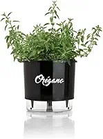 Vaso Plástico Preto Redondo Autoirrigável Médio Gourmet Tempero Orégano 16cm x 14cm