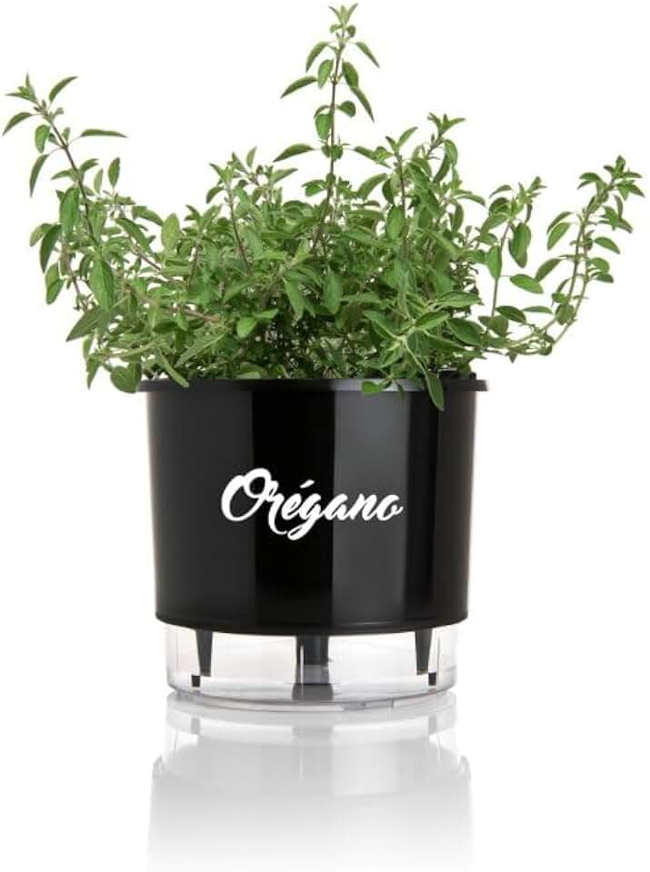 Vaso Plástico Preto Redondo Autoirrigável Médio Gourmet Tempero Orégano 16cm x 14cm