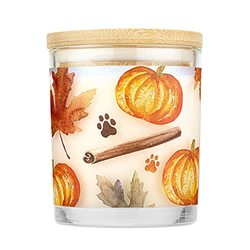 One Fur All, Pet House Candle - 100% Soy Wax Candle - Pet Odor Eliminator For Home - Non-Toxic And Eco-Friendly Air Freshening Scented Candles (Pack Of 2, Pumpkin Spice) #TOP1