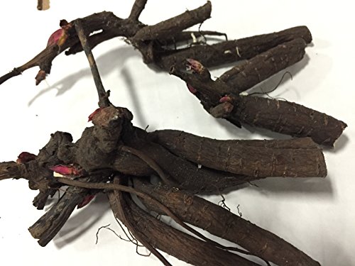 Sarah Bernhardt Garden Peony - Pink Paeonia (3 Roots) #TOP3