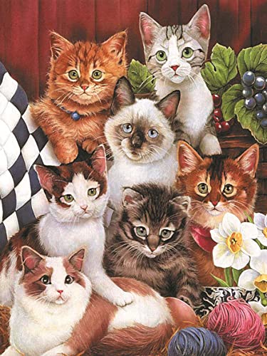 Puzzle 500 Teile Erwachsene Katzen 52 x 38 cm Puzzles für Erwachsene Lernspiel Herausforderungsspielzeug 500-teilige Katzen Puzzles für Erwachsene Kinder Cover