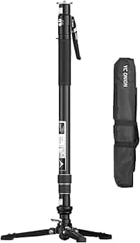 51PyAWfarAL._AC_UF350, 51PyAWfarAL._AC_UF350,