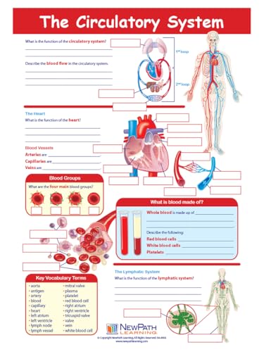 Jeu Circulatory System NewPath Learning pour classes de collège de la 6e à la 3e - 3