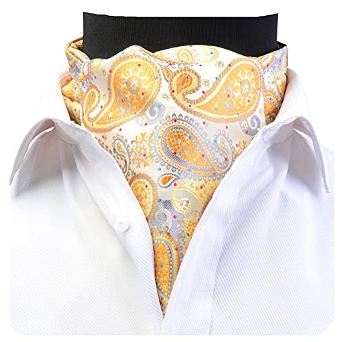 Image of MIPPO Men's Ascot Paisley Floral Jacquard Woven Gift Cravat Tie