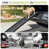 all Pets United® Hunderampe Auto klappbar – Hundetreppe bis 80 kg