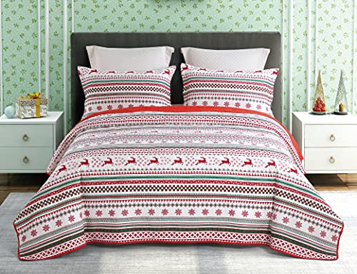 ENCOFT Juego de Colcha Reversible 3 Piezas Colcha Bouti 230x250cm con 2...