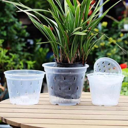 JIHUOO 3 Pcs Plastic Orchid Pots Clear Flower Pots Orchid Nursery Planters Breathable Planter Pots Transparent Plant Pots with Drainage Holes and Saucers 10cm 12cm and 15cm - Image 3