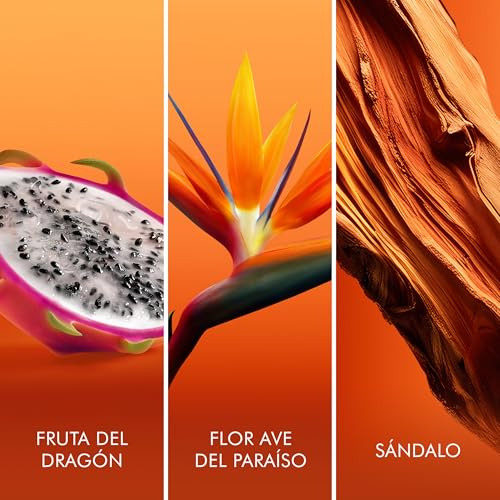 Miniatura 7 de Escada Bali Paradise Eau De Toilette Para Mujer Fragancia Femenina Floral Con Un Acorde De Fruta Del Dragón Y Flor De Ave Del Paraíso Intensidad Media 100ml