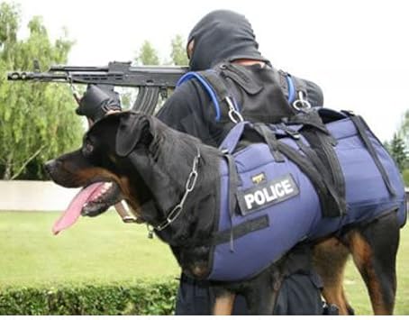 Amazon お名前入りラベル1枚無料 Julius K9 特殊なハーネス Size L 胸囲75 100cm 体重 25 40kg Julius K9 ハーネス 通販