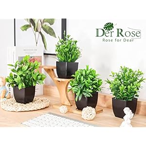 Der Rose 6 Pack Fake Plants Mini Artificial Plants for Home Office Farmhouse Bathroom Shelf Decor Indoor Der Rose 6 Pack Fake Plants Mini Artificial Plants for Home Office Farmhouse Bathroom Shelf Decor Indoor