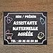 plaque professionnelle assistante maternelle, nourrisse,nounou,pancarte assistante maternelle -modèle ardoise à personnaliser