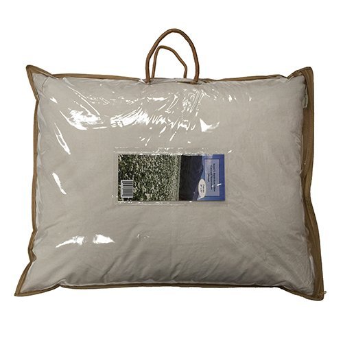 Beans72 Organic Buckwheat Pillow - Twin/Standard Size (20" X 26") #TOP3