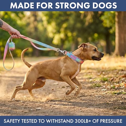 Spark Paws Martingale Dog Collar &ndash; Cushioned Slip-On Training Collar, Heavy Duty, Safety-Tested No-Buckle Collar for Medium & Large Dogs - Pastel Icing - C