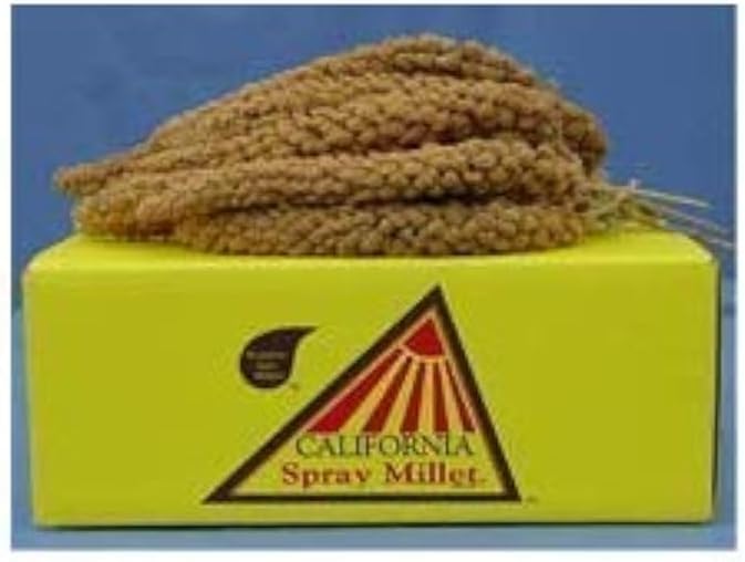 250201 California Gold Spray Millet fo