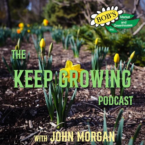 Spring Mulching Tips