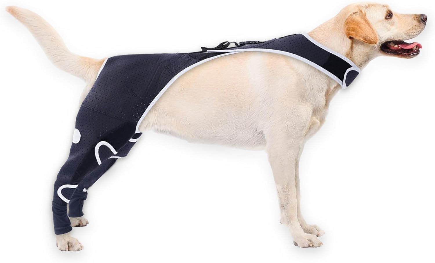 Hunde-Kniebandage für Hinterbeine, mit rutschfestem Geschirr, atmungsaktiv, Hunde-Beinbandage für gerissene ACL, CCL, Arthritis, Luxating Patella nach Operationen, Genesung, Wundschutz verhindert