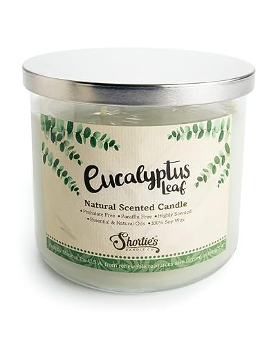 Eucalyptus Leaf Scented Natural 3 Wick Candle, Essential Fragrance Oils, 100% Soy, Phthalate & Paraben Free, Clean Burning, 14.5 Oz. #TOP11