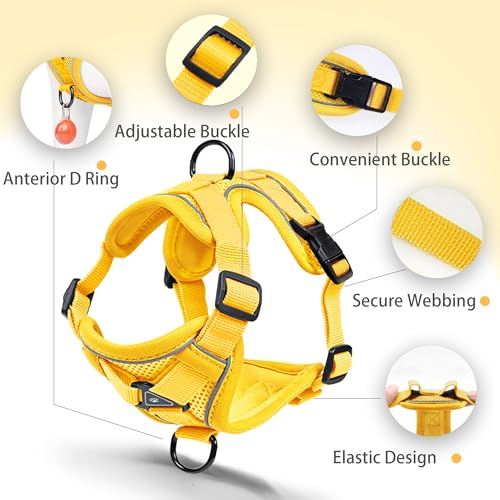 Jolifield No Pull Dog Harness with Leash Set for Medium Sized Dog, Reflective Adjustable No Choke Front Clip Cat Vest Harness with Breathable Mesh, Comfortable Soft Padded Pet Vest, Yellow XL