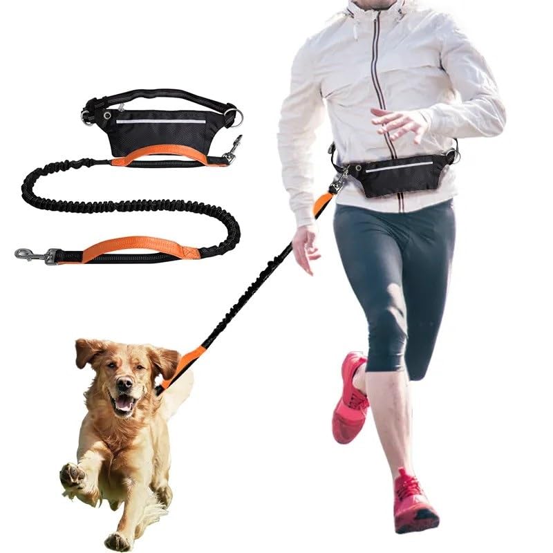 Tomkabo Joggingleine Hund, Freihändige Hundeleine mit Bauchgurt – Joggen, Laufen, Wandern, Spaziergänge, elastisch, stoßdämpfend, reflektierend, mit Tasche, 130-180cm