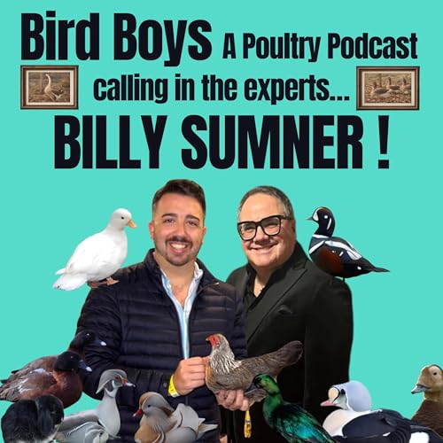 Calling in the experts&hellip;Billy Sumner!