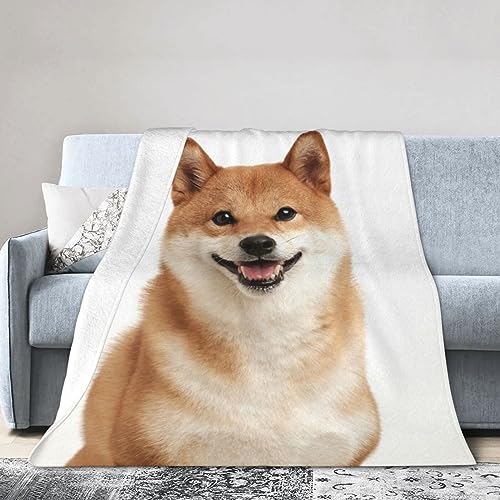 lC Aj(12) ѕz @\ C[΍ g ʋC  RۖhL y  Ódh~ | |lGʗpѕz蕨 lGʗp 150cm×200cm